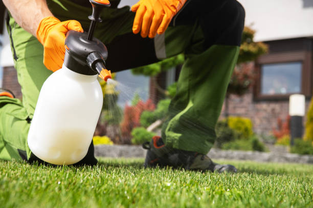 Best Cockroach Control Services  in Hybla Lley, VA