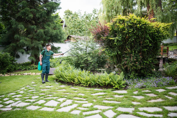 Best Wildlife Control Services  in Hybla Lley, VA