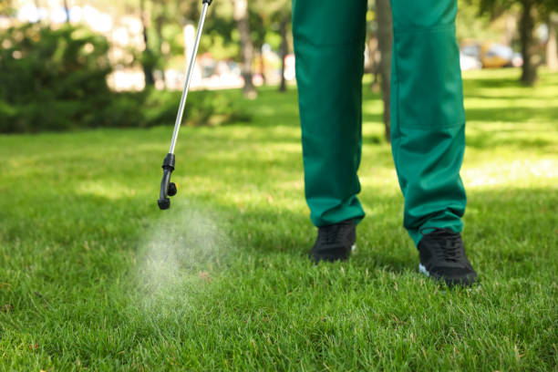 Best Pest Control Treatment  in Hybla Lley, VA