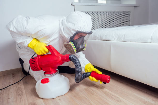 Best Best Pest Control Companies  in Hybla Lley, VA