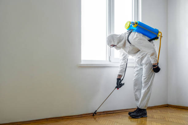 Best Best Pest Control Companies  in Hybla Lley, VA