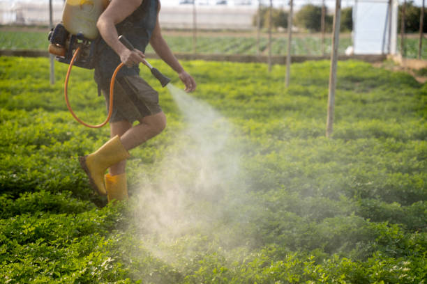 Best Affordable Pest Control Services  in Hybla Lley, VA