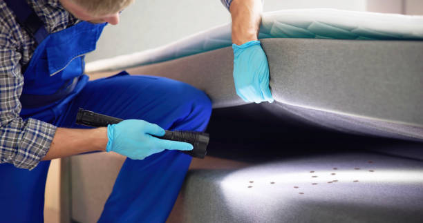Best Affordable Pest Control Services  in Hybla Lley, VA