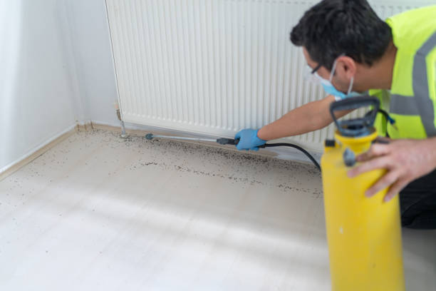 Best Best Pest Control Companies  in Hybla Lley, VA