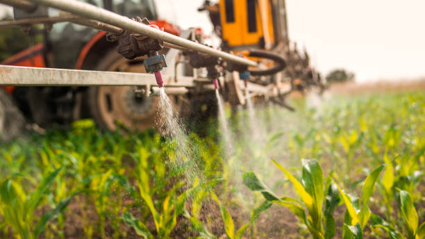 Best Commercial Pest Control Services  in Hybla Lley, VA
